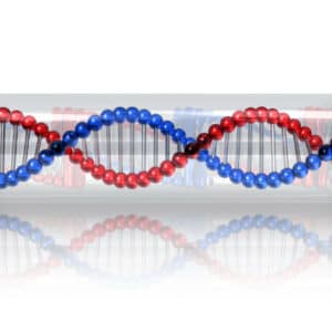 DNA Profile Banking